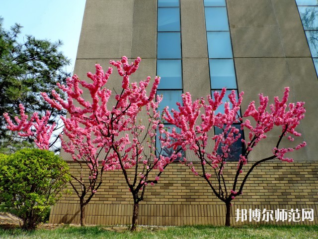 中央財經(jīng)師范大學(xué)學(xué)院南路校區(qū)招生辦聯(lián)系電話