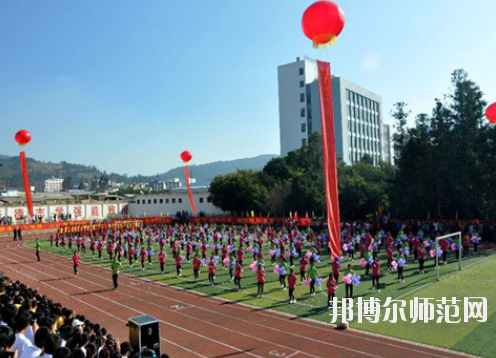 畢節(jié)幼兒師范水利電力工程學校2020年網(wǎng)站網(wǎng)址