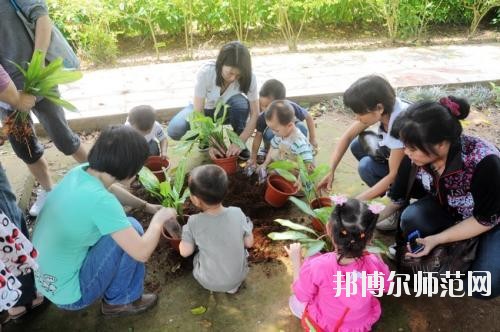 貴陽(yáng)2020年幼師學(xué)校屬于什么學(xué)歷