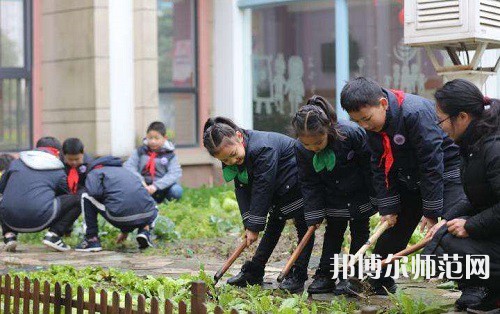 江蘇2022年100分能上小學教育學校嗎