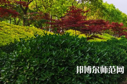 南陽(yáng)理工師范學(xué)院2023年招生代碼