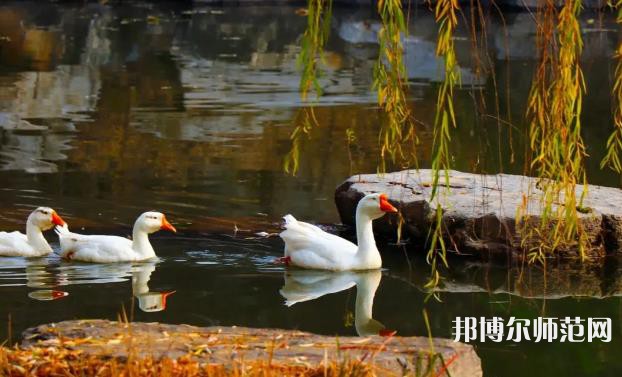 山東財(cái)經(jīng)師范大學(xué)萊蕪校區(qū)2023年報(bào)名條件、招生要求、招生對象 