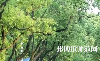 湖南理工師范學(xué)院南湖學(xué)院2023年報(bào)名條件、招生要求、招生對(duì)象