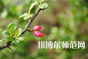 西安幼兒師范職業(yè)學(xué)校2023年學(xué)費(fèi)、收費(fèi)多少