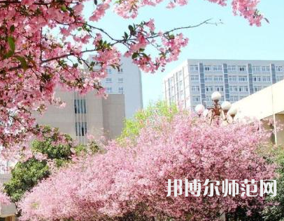 中國礦業(yè)師范大學(xué)徐海學(xué)院2023年報名條件、招生要求、招生對象