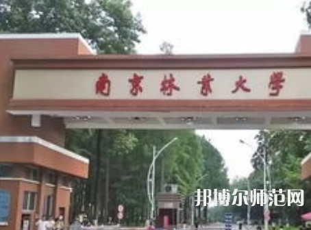 南京林業(yè)師范大學淮安校區(qū)2023年有哪些專業(yè)