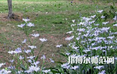 湖南第一師范學院城南書院校區(qū)2023年怎么樣、好不好