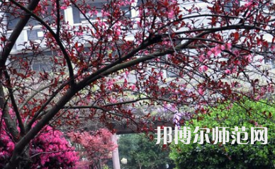 湖南第一師范學院東方紅校區(qū)2023年有哪些專業(yè)