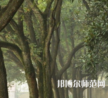 湖南師范大學樹達學院2023年招生簡章