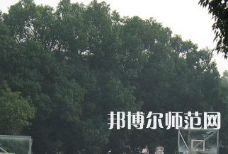 湖南師范大學(xué)樹達(dá)學(xué)院2023年招生代碼