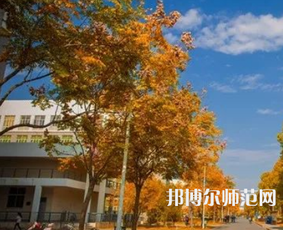 南京師范大學(xué)泰州學(xué)院2023年報(bào)名條件、招生要求、招生對象