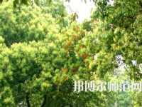 衡陽(yáng)師范學(xué)院南岳學(xué)院2023年怎么樣、好不好