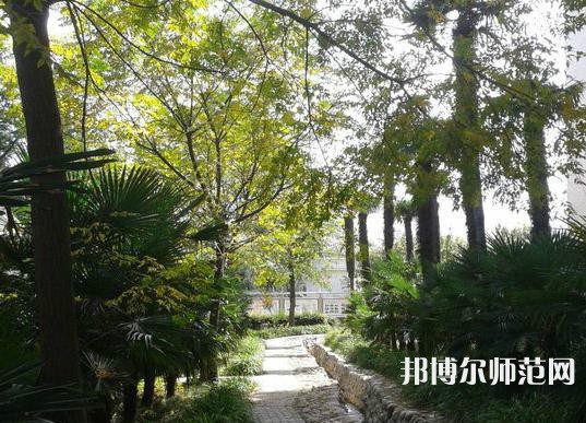 西北大學(xué)師范學(xué)院桃園校區(qū)2023年怎么樣、好不好